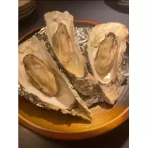 宝條 夏恋