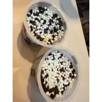 咲良 水月