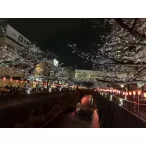 なこ