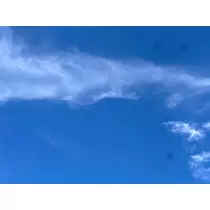 なつき