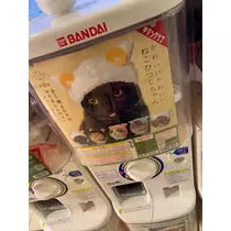 華宮 れい