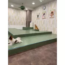 あやか