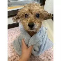 酔超丸 さな