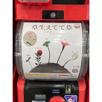 緑 四葉