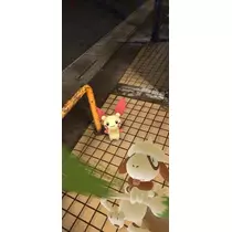 あんな