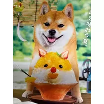 緑 四葉