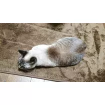 ひな