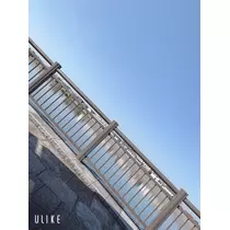 はつね