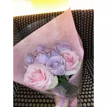 白石 愛莉