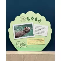 緑 四葉