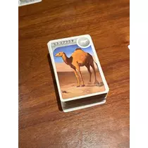 緑 四葉