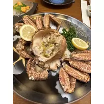 白石 愛莉