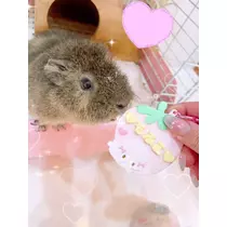 お茶の水うらん