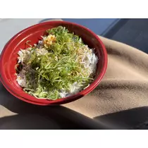 かんな
