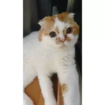 れみ