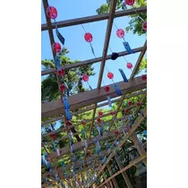 桃 かんな