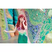 姫花