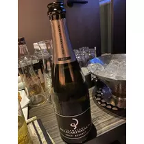 白石 愛莉