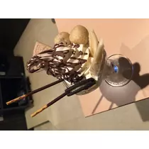 宝條 夏恋