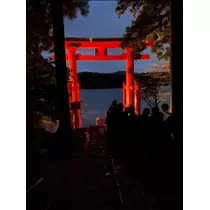 宝條 夏恋