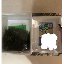 かびるんるんさわ