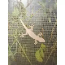 ちよママ