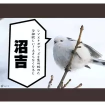 ひな
