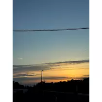 せいか