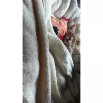 のぞみ
