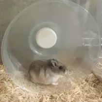 ゆな