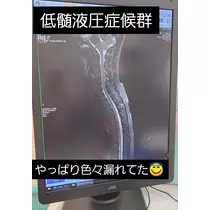 紫音