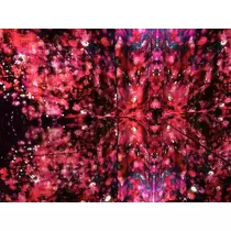 ティナ
