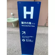 うみ