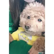 仁華
