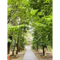 ゆかり