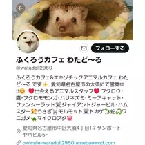 エミ （スタッフ）