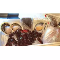 ハルカ