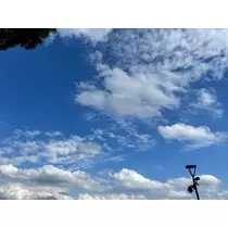 成海 まお