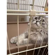 ミヅキ