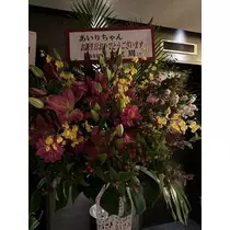 白石 愛莉