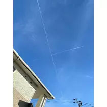小川 真央