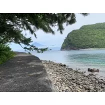 しゅり
