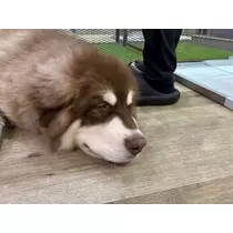 あーだこーだそら