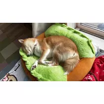 ツンデレかなの