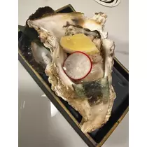 のぞみ