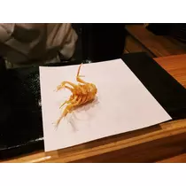 荒木 ナツミ