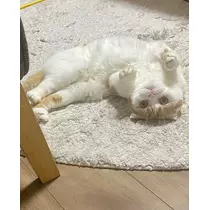 るな