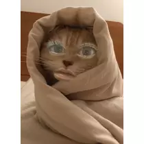 あかね