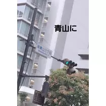 紫音