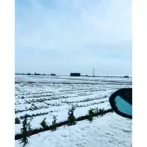 ゆかり